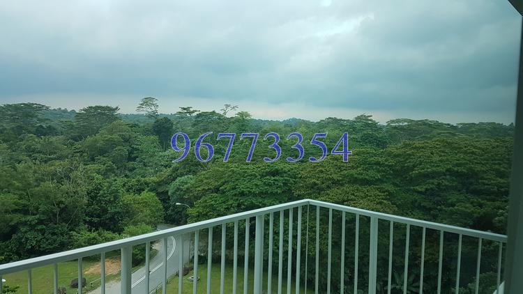 Tree House (D23), Condominium #146963072
